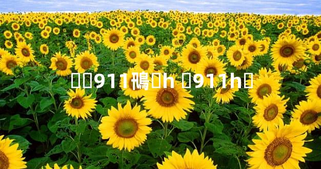 Ᵽʱ911鳵Ǯһ ʱ911һǮ